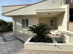 Casa Cycas